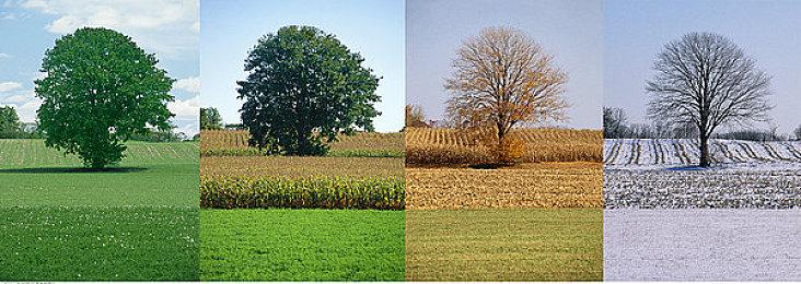 卡通冒险《我是小鱼儿》9月17日发售 考验操控的时候到了