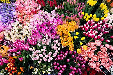 科乐美前员工：下架《寂静岭P.T.》这事挺尴尬